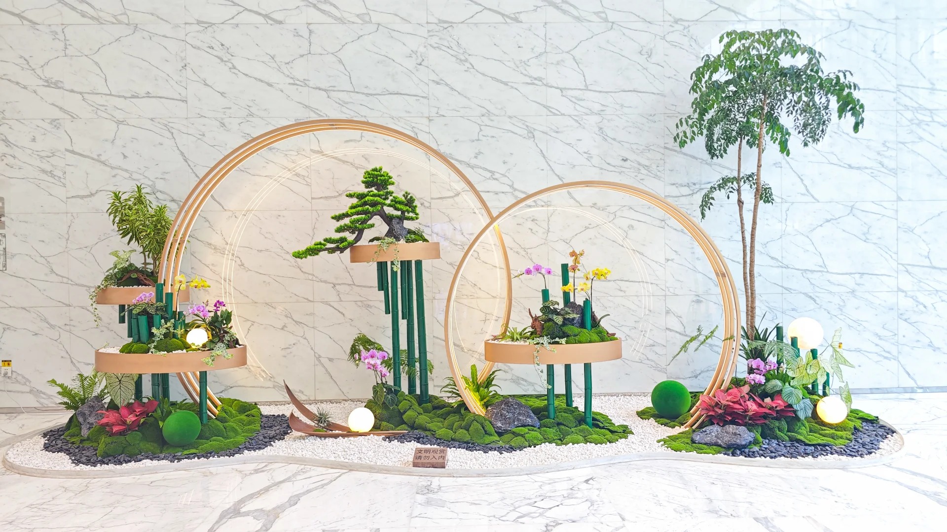 体验海曙盆景租赁,贴心服务,邂逅诗意绿色时光!